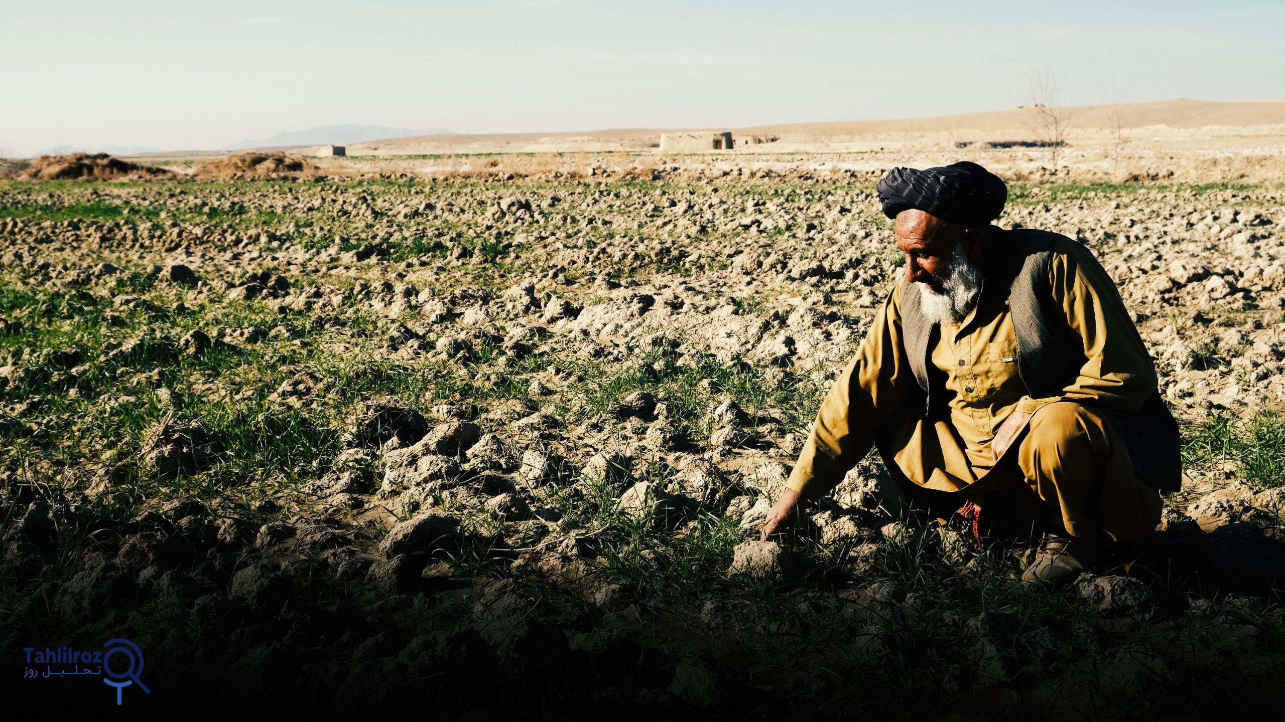 ناامنی غذایی افغانستان