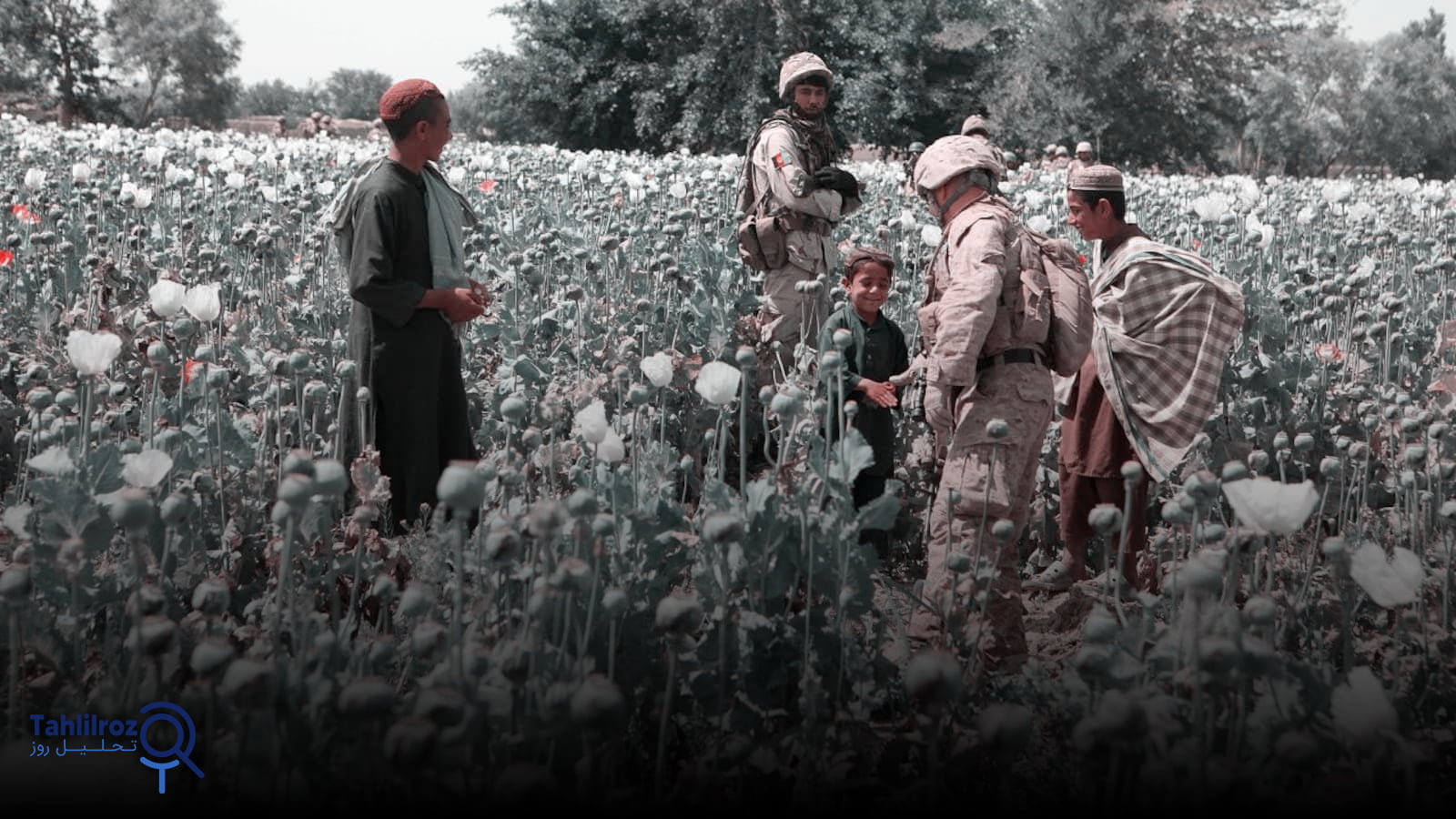 رونق تجارت مواد مخدر افغانستان